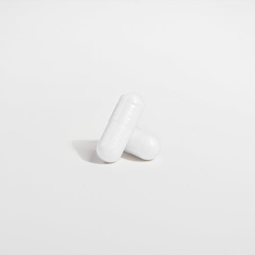 PROBIOTIC 40 BILLION WITH PREBIOTIC